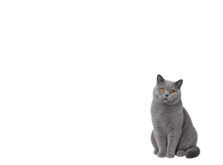 Для котів преміум